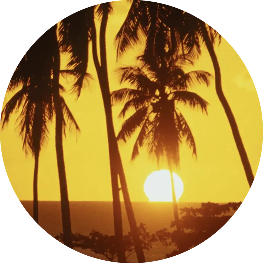 Welcome to Puerto Rico!